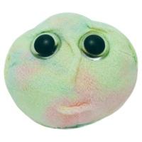 GiantMicrobes Stem Cell