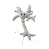 GiantMicrobes Brain Cell