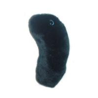 GiantMicrobes Black Death Plush