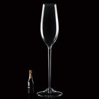 Giant Acrylic Champagne Flute 670oz / 19ltr (Single)