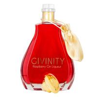 Givinity Raspberry Gin Liqueur 70cl