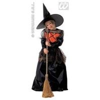 Girls Little Witch Deluxe Child 140cm Costume Medium 8-10 Yrs (140cm) For