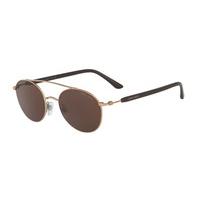 Giorgio Armani Sunglasses AR6038 300473