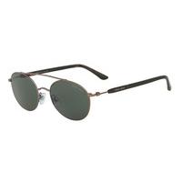 Giorgio Armani Sunglasses AR6038 300671