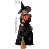 Girls Little Witch Deluxe Child 158cm Costume Large 11-13 Yrs (158cm) For