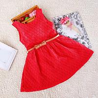 Girl\'s Doll Collar Lace Dress