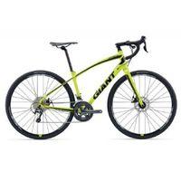 Giant Anyroad 1 All Road Bike 2017