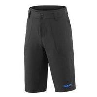 Giant Trans Baggy Short