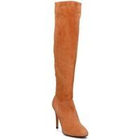 gino rossi lilia womens high boots in brown