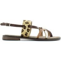 gio di grunland sa1278 flip flops women womens sandals in brown