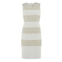 Gina Bacconi Floral Embroidered Contrast Band Dress