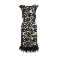 Gina Bacconi Lace Dress with Feather Trim