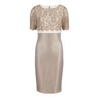 Gina Bacconi Scallop Flower Lace and Shimmer Dress