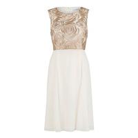 Gina Bacconi Rose Embroidery and Chiffon Dress