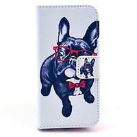 Glasses Dog Pattern Full Body Case with Stand for iPhone 5C