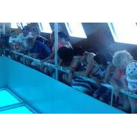 Glass Bottom Boat Sharm el Sheik...
