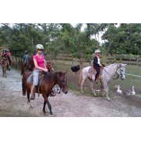 Glide and Ride Adventure with Tropical Petting Zoo