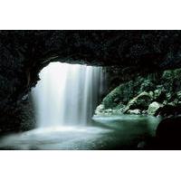 glow worm cave and natural bridge tour from gold coast