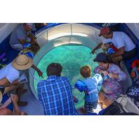 Glass Bottom Boat Coral Reef Exploration