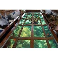 Glass Bottom Boat