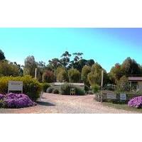 Gladstone Caravan Park - South A...