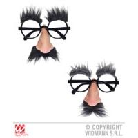 Glasses With Nose, Moustache & Eyebrows