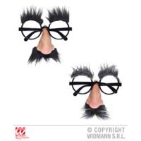 glasses with nose moustache eyebrows