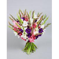 Gladioli Abundance (Pre Order)
