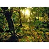 Glade, Magic Forests Jigsaw Puzzle