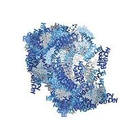 Glitz Birthday Confetti 1/2oz