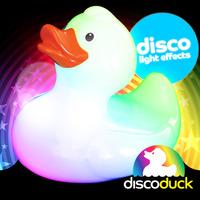 Glow Disco Duck Wholesale