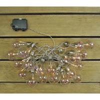 Glass Bulb And Dried Flower (Battery) String Lights by Kingfisher