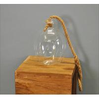 Glass Air Plant Hanging Terrarium by Garden Trading