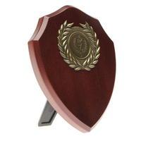 Glenway Triumph Shield Trophy