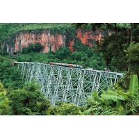 Gotyeik Viaduct Day Trip from Mandalay