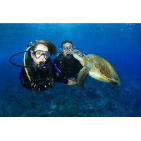 Gold Coast Scuba Diving Experience on Wave Break Island