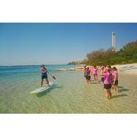 Golden Beach 1-Hour Stand-Up Paddleboard Hire on the Sunshine Coast