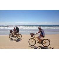 Gold Coast Bike Tour from Surfers Paradise