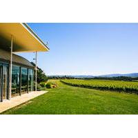 Gourmet Vineyard Lunch and Yarra Valley Winery Tour from Melbourne