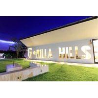 Gorilla Hills Hua Hin Hotel