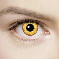 Golden Vampire 1 Day Halloween Coloured Contact Lenses (MesmerEyez XtremeEyez)