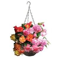 Golden and Pink Balcony Begonias 2 Pre-Planted Rattan Hanging Baskets