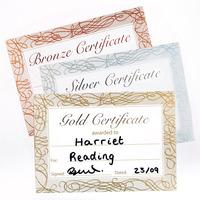 Gold, Silver & Bronze Award Certificates (Pack of 60)