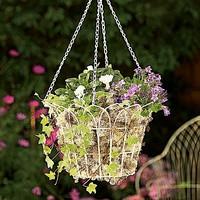 Gothic Hanging Basket
