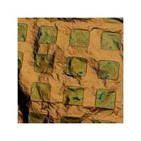 Gold Leaf. Blue Squares. Pack of 12