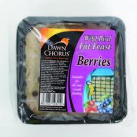 Gourmet Suet Treat Block - Berry