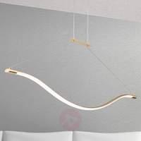 Golden Alen LED pendant light