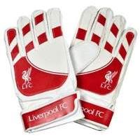 goalkeeper gloves liverpool 10 12 years