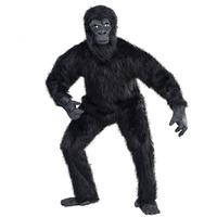 Gorilla Guy M