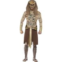 Gold Men\'s Zombie Pharaoh Costume